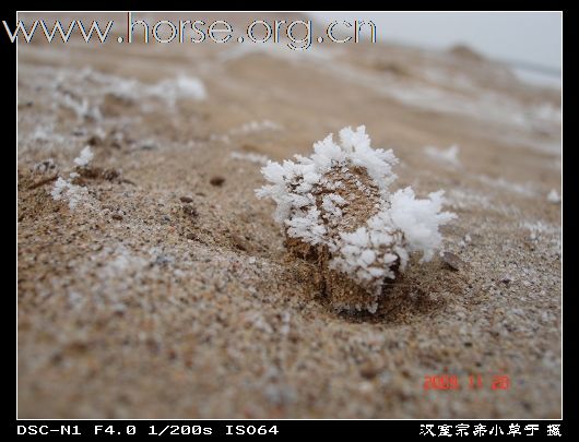 [永定河耐力赛掠影]志愿者英姿：众人拾柴火焰高，战地霜花分外靓