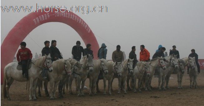 中国浙江马友新联盟 盟主 杰克-黑马 代表百得利奥迪队完成了北京永定河80公里的耐力赛！等待成绩