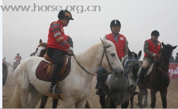 中国浙江马友新联盟 盟主 杰克-黑马 代表百得利奥迪队完成了北京永定河80公里的耐力赛！等待成绩