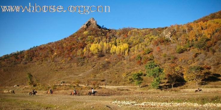 下雪了，周六龙庆峡带大家野绷子去