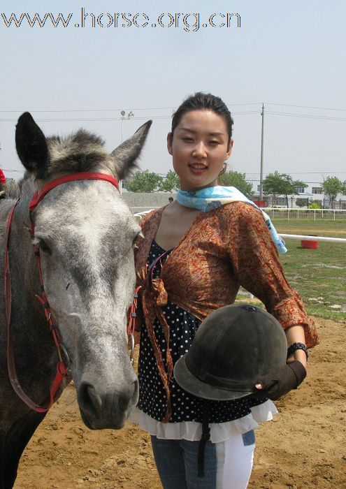 2009年山东省马术邀请赛