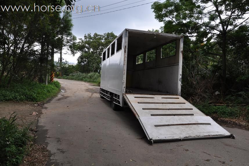 剩下的馬用馬車運到新場