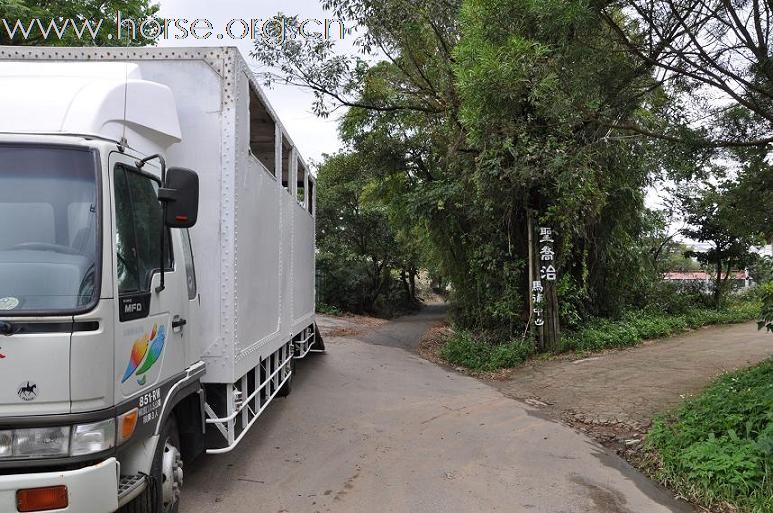 剩下的馬用馬車運到新場
