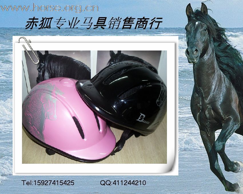 赤狐专业马具销售商行欢迎您