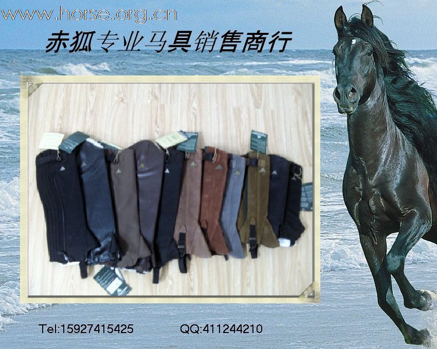 赤狐专业马具销售商行欢迎您