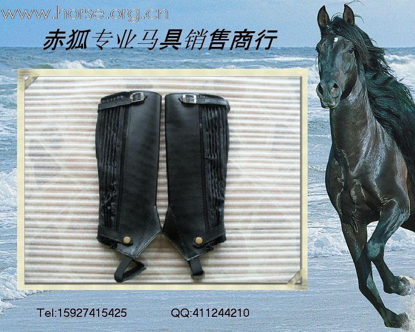 赤狐专业马具销售商行欢迎您
