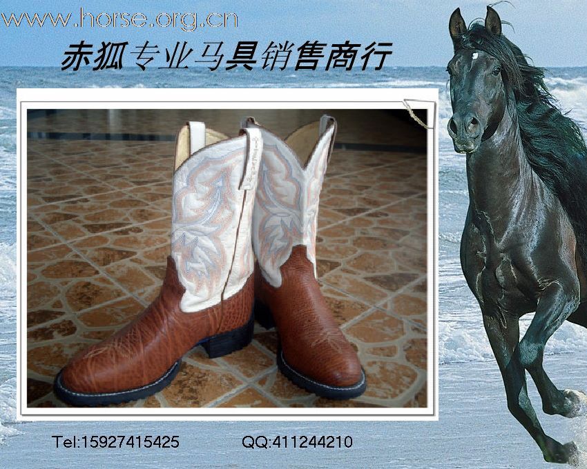 赤狐专业马具销售商行欢迎您