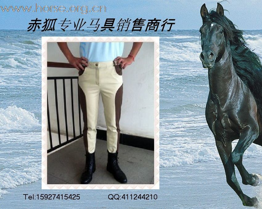 赤狐专业马具销售商行欢迎您