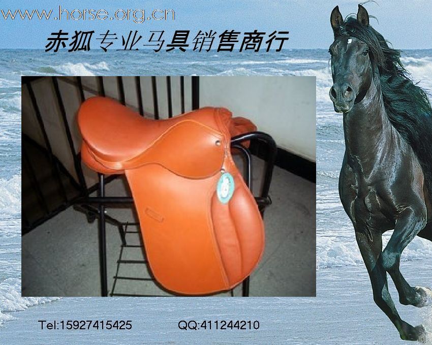 赤狐专业马具销售商行欢迎您