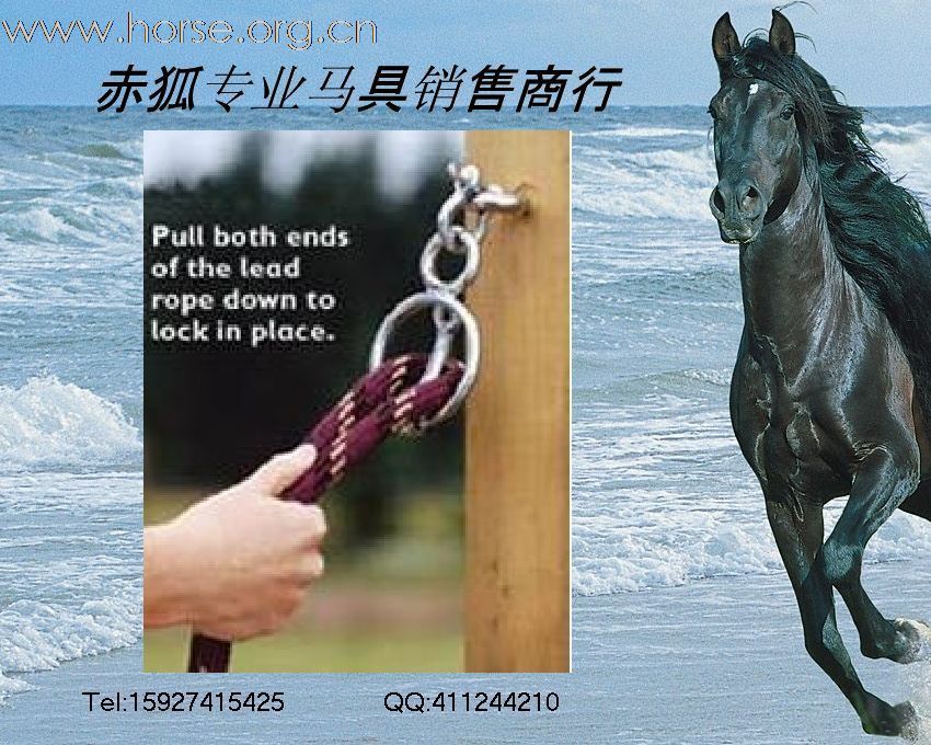 赤狐专业马具销售商行欢迎您