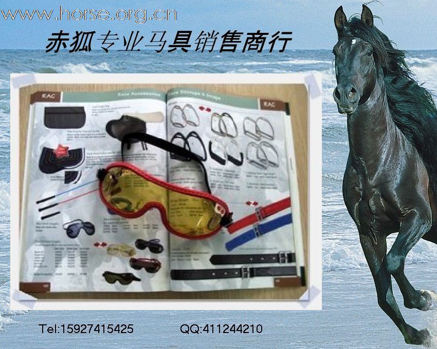 赤狐专业马具销售商行欢迎您