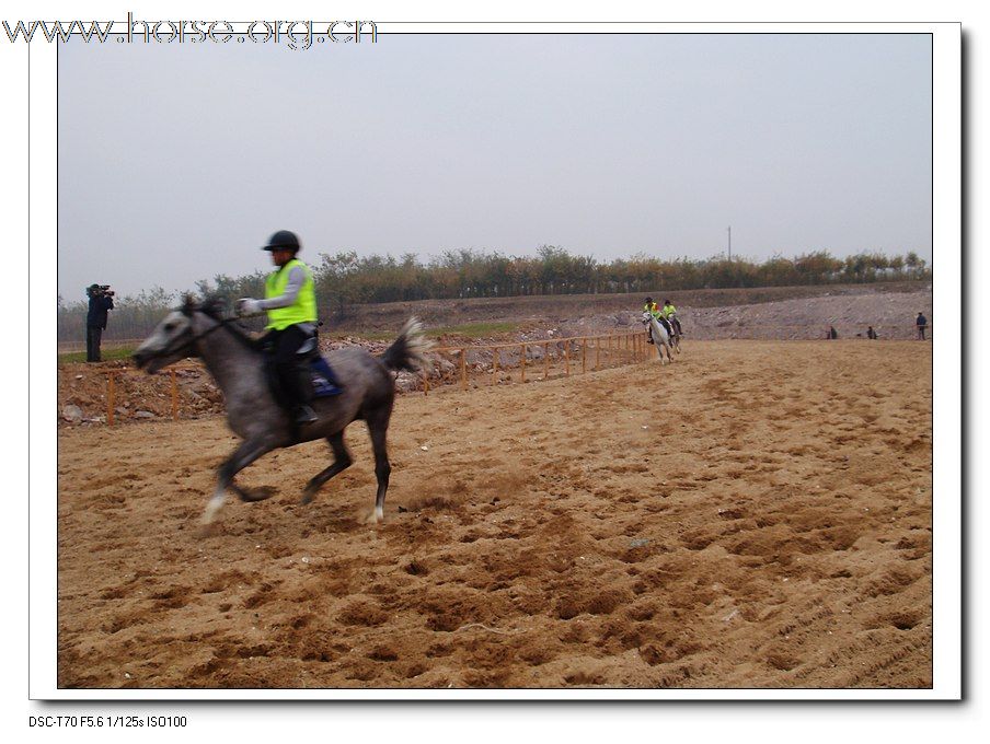 热烈庆祝2009年山东马术邀请赛在青岛召开