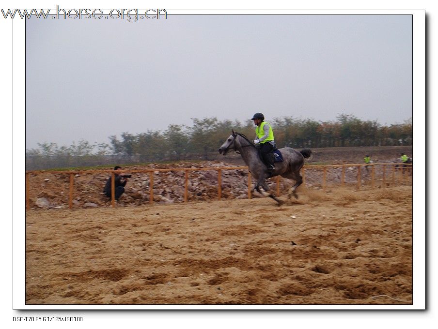 热烈庆祝2009年山东马术邀请赛在青岛召开