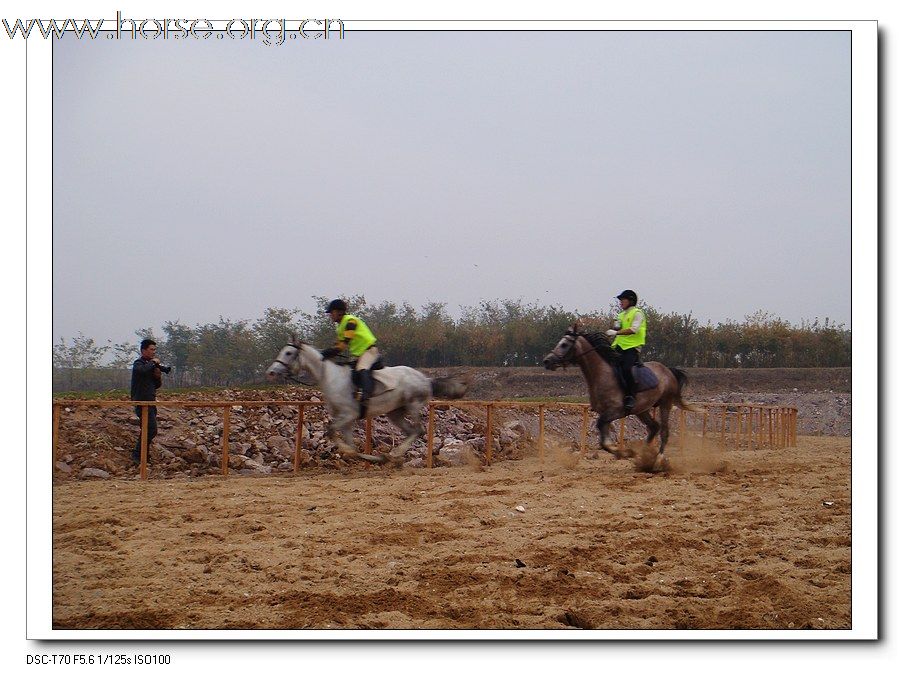 热烈庆祝2009年山东马术邀请赛在青岛召开