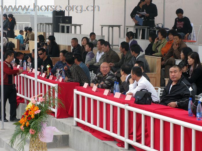祝贺2009山东马术邀请赛圆满结束！