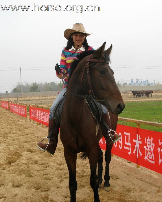 祝贺2009山东马术邀请赛圆满结束！