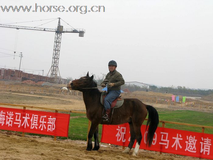 祝贺2009山东马术邀请赛圆满结束！