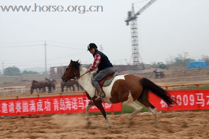 祝贺2009山东马术邀请赛圆满结束！