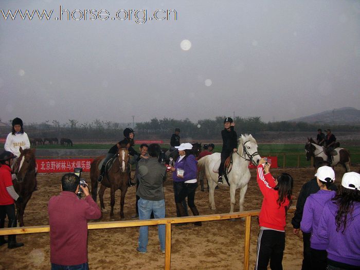 祝贺2009山东马术邀请赛圆满结束！