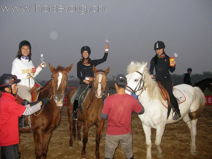 祝贺2009山东马术邀请赛圆满结束！