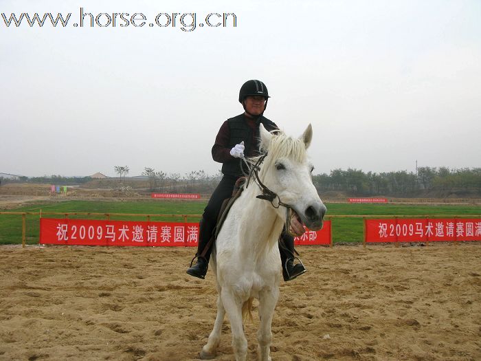 祝贺2009山东马术邀请赛圆满结束！