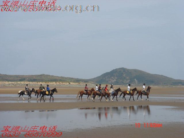 [推荐]不爱红装爱武装