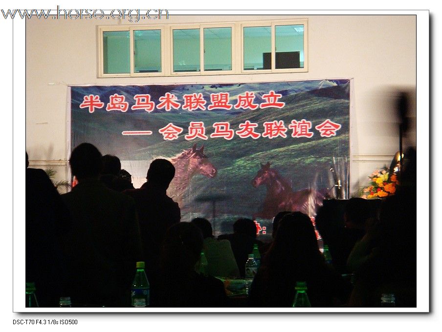 2009年山东马术邀请赛在青岛召开