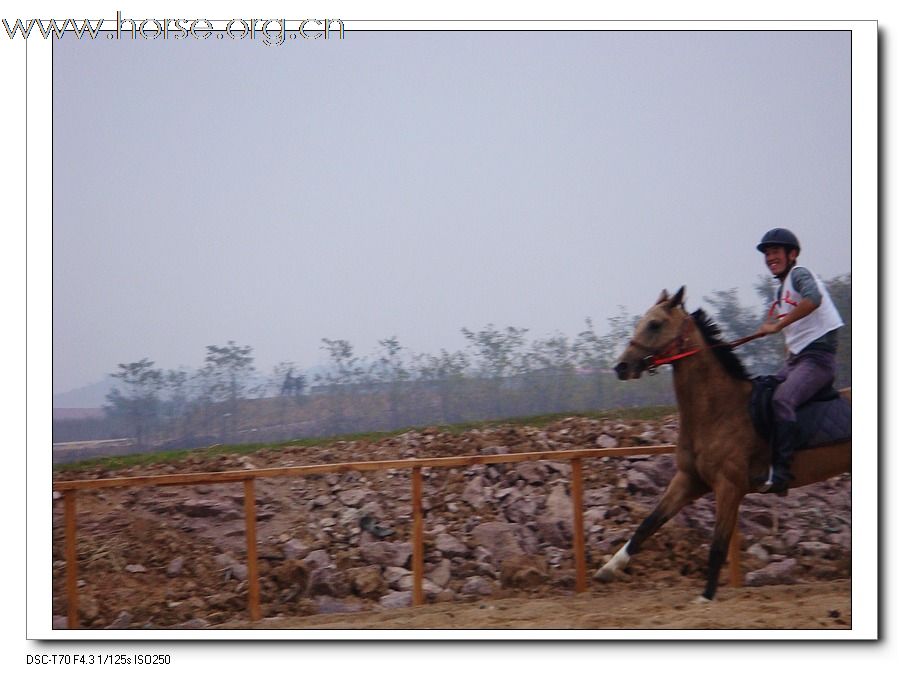 2009年山东马术邀请赛在青岛召开