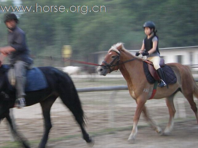 深圳 西麗湖騎馬俱樂部