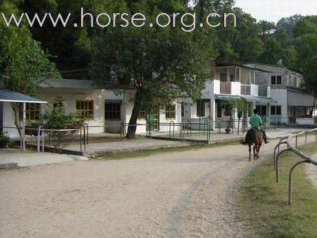 深圳 西麗湖騎馬俱樂部