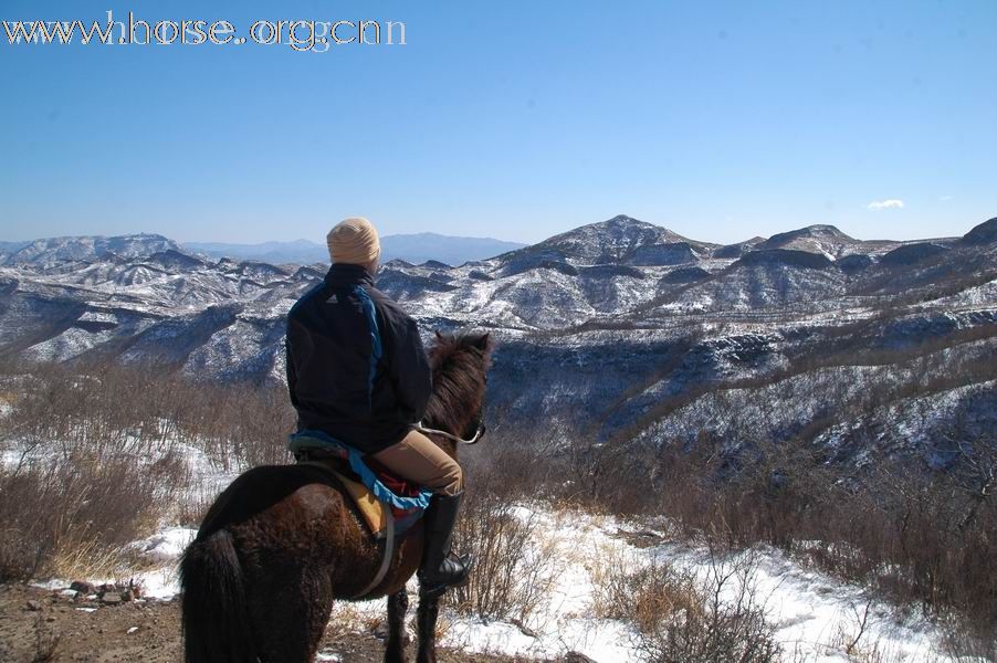 我骑马我自由我健康，周末19、20两天龙庆峡骑马踏雪、堂子庙温泉养生！