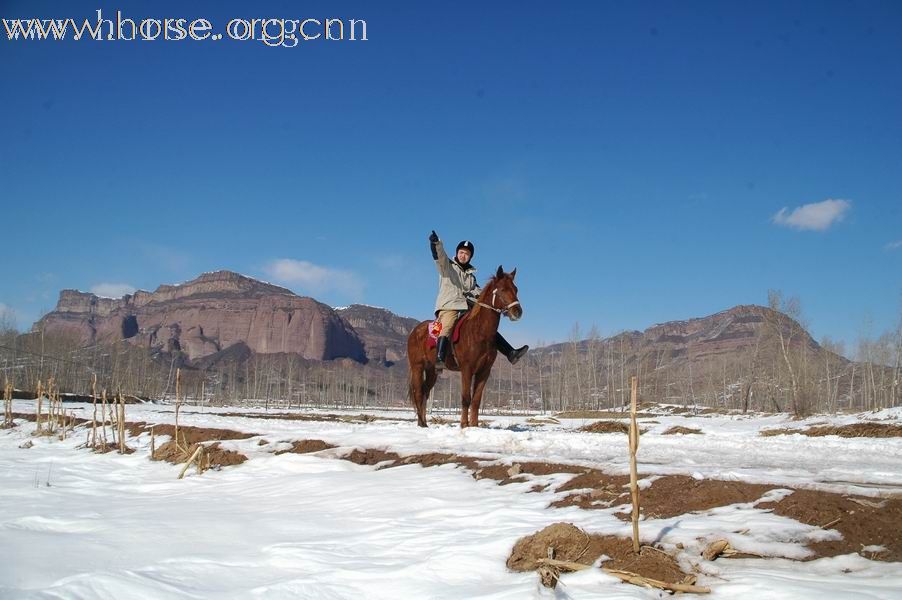 我骑马我自由我健康，周末19、20两天龙庆峡骑马踏雪、堂子庙温泉养生！