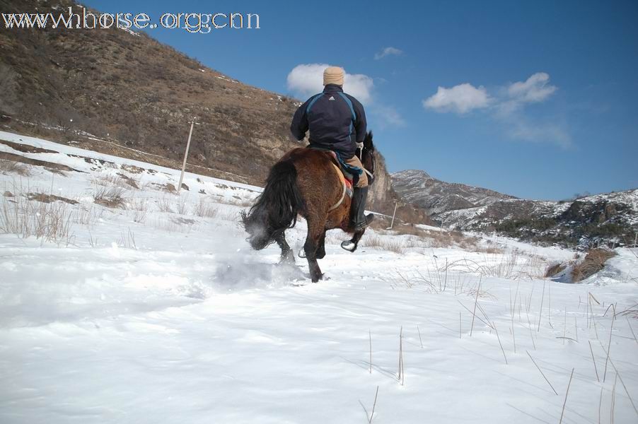 我骑马我自由我健康，周末19、20两天龙庆峡骑马踏雪、堂子庙温泉养生！