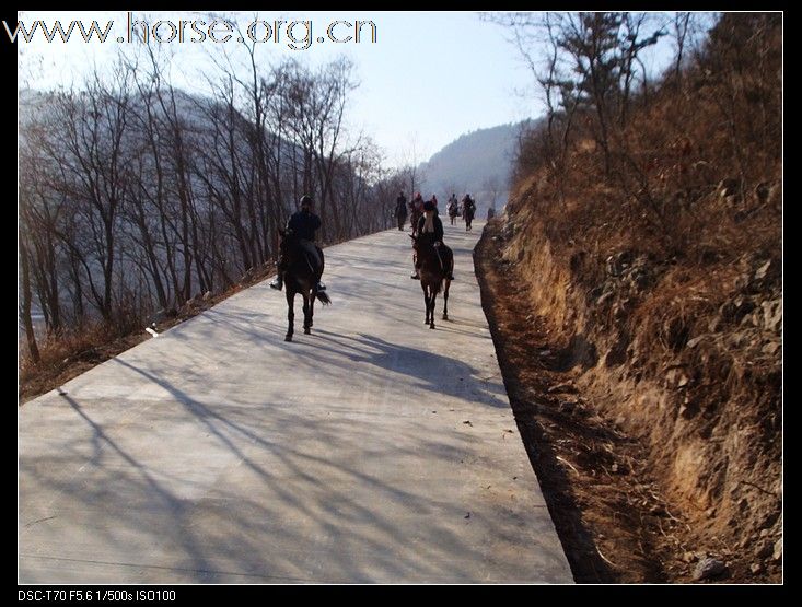 [贴图]青岛市马术协会2009冬季50公里穿越成功