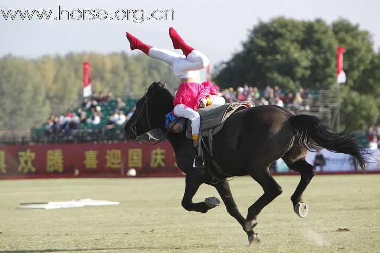 2009-10-06 北京国际马球赛与马术表演