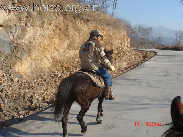 [贴图]青岛市马术协会2009冬季50公里穿越成功