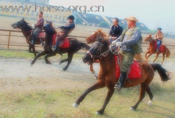 17号 周四我们几个马友下午在马场记载