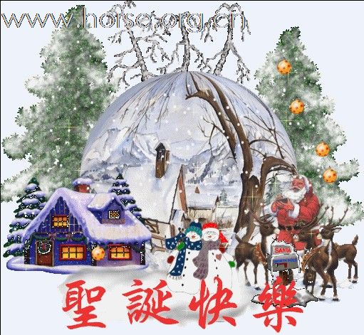 赤狐专业马具销售商行祝各位马友圣诞快乐