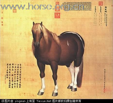 古代马名大汇编