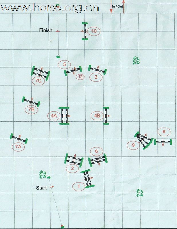 香港 清水灣騎術教育中心的娘子軍