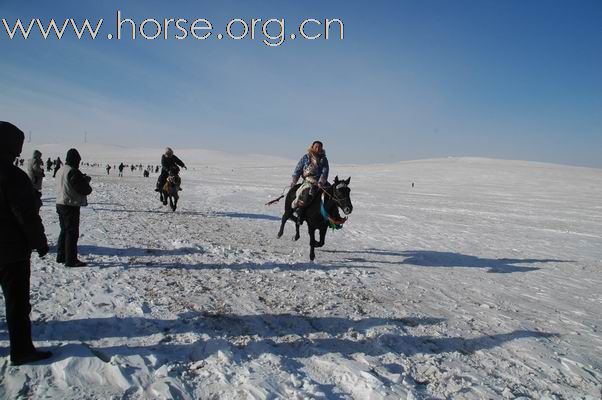 2009西乌旗草原冰雪嘉年华赛马现场亲历