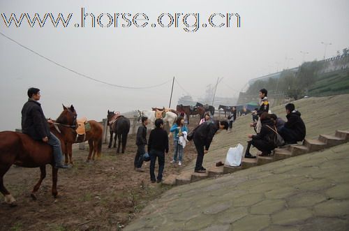 重庆马友，骑马游街辞旧迎新，过新年！