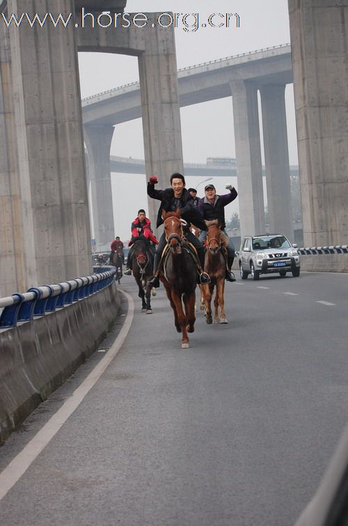 重庆马友，骑马游街辞旧迎新，过新年！