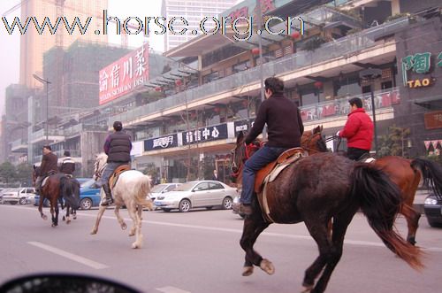 重庆马友，骑马游街辞旧迎新，过新年！