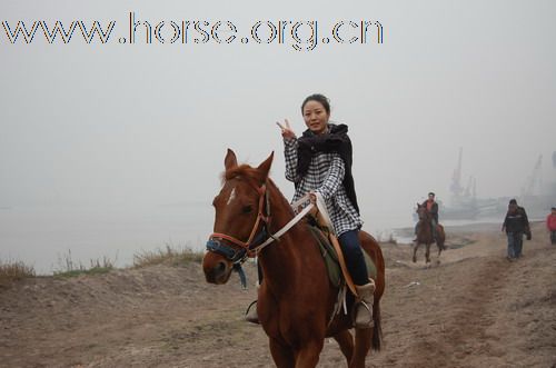 重庆马友，骑马游街辞旧迎新，过新年！