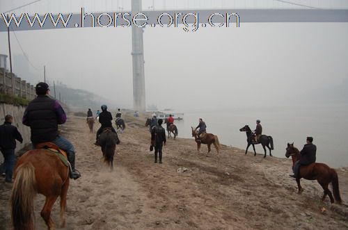 重庆马友，骑马游街辞旧迎新，过新年！