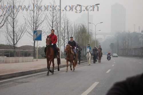 重庆马友，骑马游街辞旧迎新，过新年！