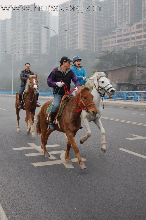 重庆马友，骑马游街辞旧迎新，过新年！