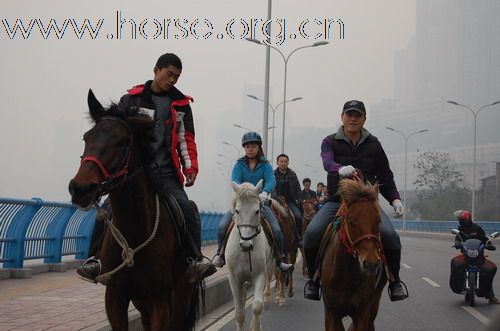 重庆马友，骑马游街辞旧迎新，过新年！