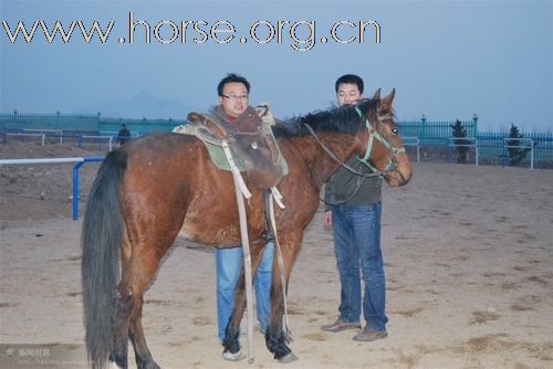 瓢城骑兵营正在进行中